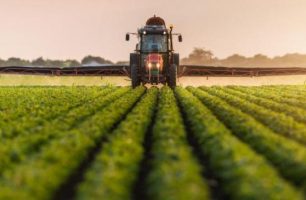 agrarii 2 306x200 - Правительство должно поддержать украинских аграриев, а не земельных спекулянтов, - «Наш край»