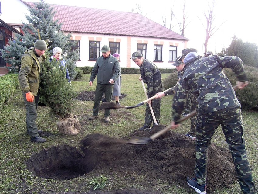 По инициативе депутата от "Нашего края" на Житомирщине высадили 45 200 деревьев photo 2021 04 16 16.15.34 - По инициативе депутата от "Нашего края" на Житомирщине высадили 45 200 деревьев