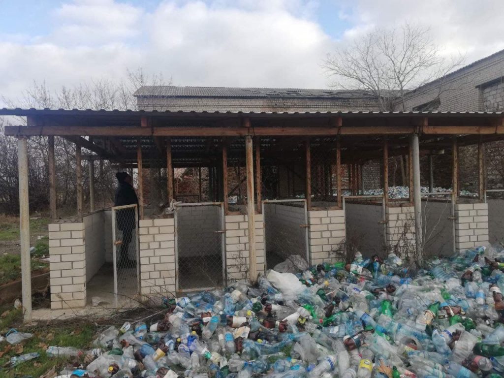 «Наш край» требует от мэра Скадовска решить проблему бездомных собак 15 07 skadovsk 2 1024x768 - «Наш край» требует от мэра Скадовска решить проблему бездомных собак