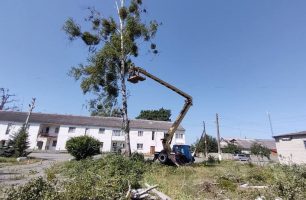 28 07 zhytomyr 306x200 - По инициативе депутата от «Нашего края» в Малинской громаде срезали сухие деревья