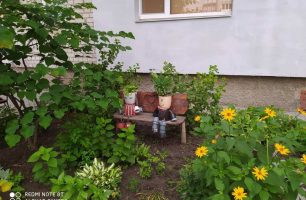 11 08 malyn 306x200 - Депутат от «Нашего края» занялась благоустройством микрорайона в Малине