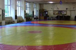 28 09 kyevshhyna 306x200 - В «Нашем крае» пообещали отремонтировать крышу зала вольной борьбы в Обухове