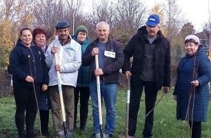 ozeleninnya 306x200 - «Наш край» продолжает проект по благоустройству территорий